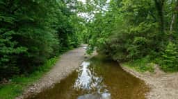 Creekside Farmhouse Retreat - Image 3
